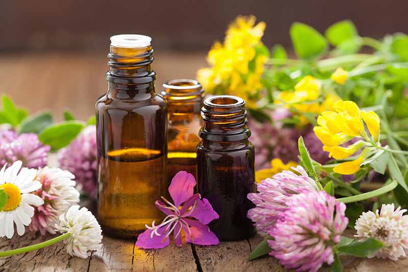Herbal Oil Herbal Oil