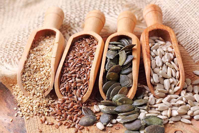 Seeds Benefits Seeds Benefits